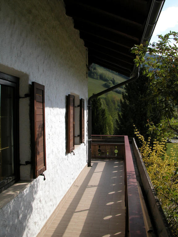 Feichterhof Voppichler Villa Rio Bianco/Weissenbach Cameră foto